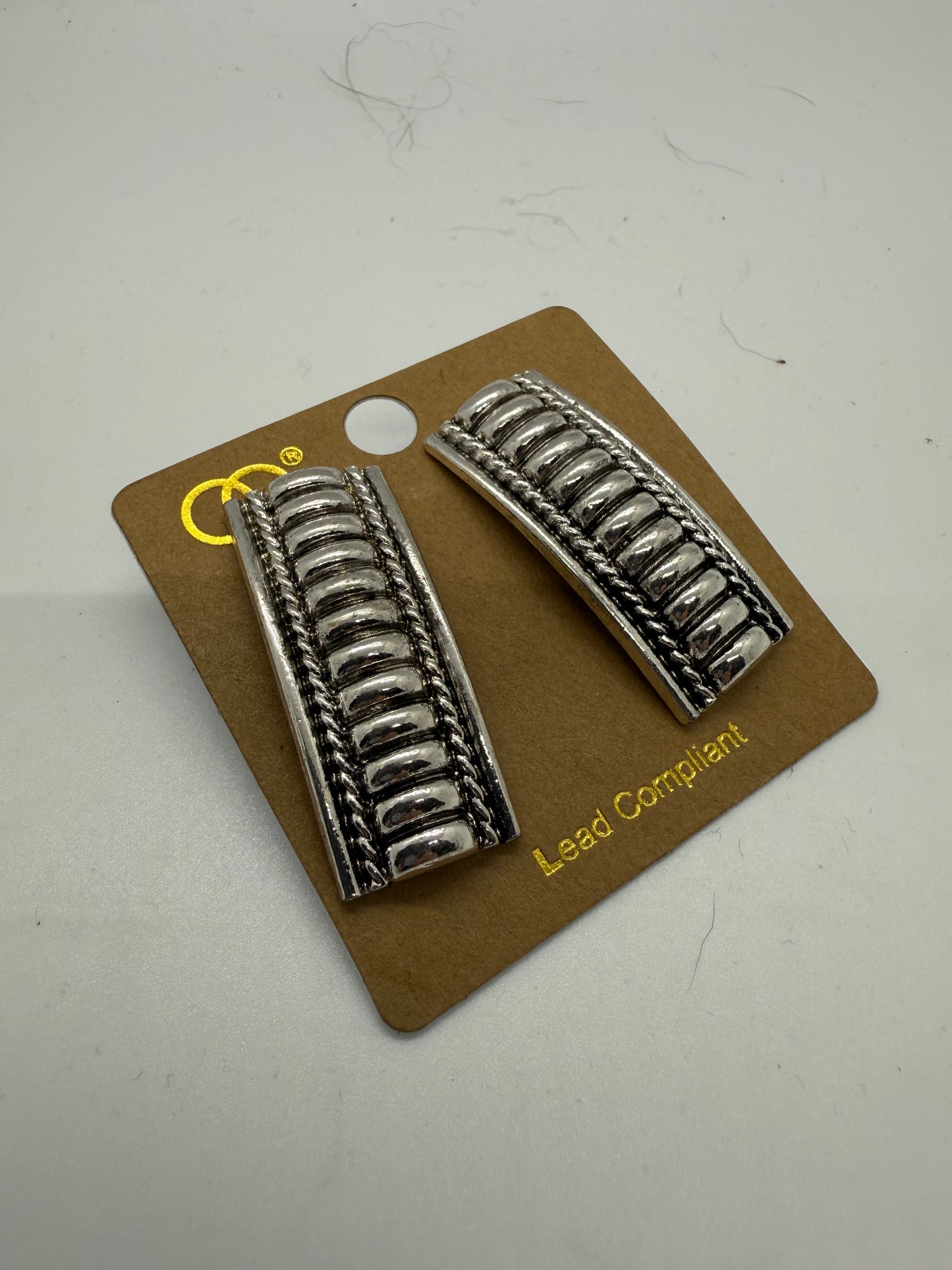 Silver Ridge Stride Earrings