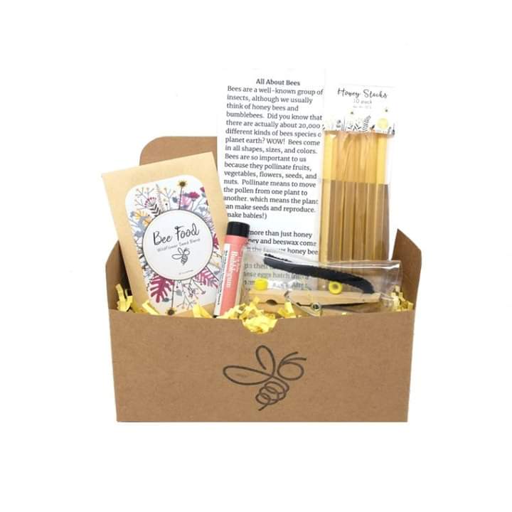 Busy Bee Kidz Kits